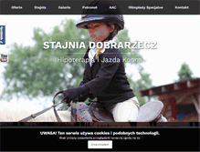 Tablet Screenshot of hipoterapia.leszno.pl